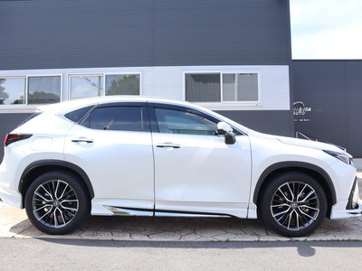 LEXUS NX - 4