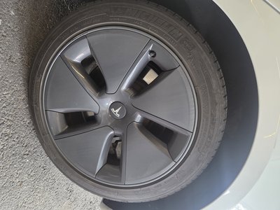 2022 Tesla MODEL 3 photo 3
