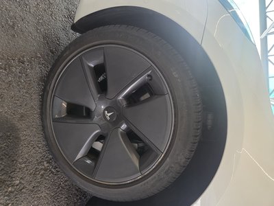 2022 Tesla MODEL 3 photo 7