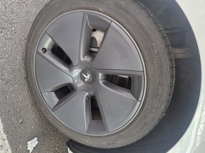 2022 Tesla MODEL 3 photo 2