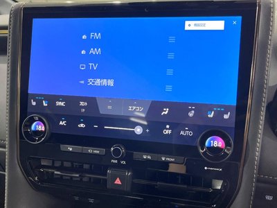 2024 TOYOTA ALPHARD 缩略图 32