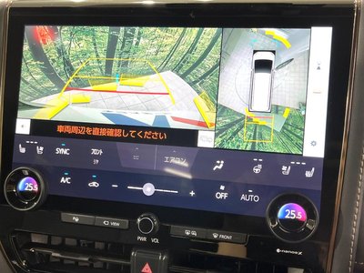 2024 TOYOTA ALPHARD 照片 8