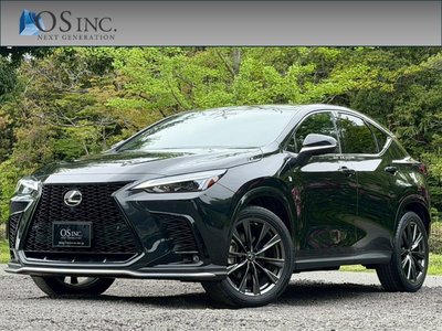 LEXUS NX - 1