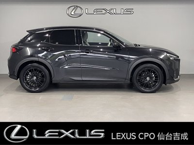صورة 9 لـ 2024 Lexus LBX
