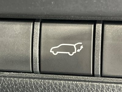 2024 Toyota LAND CRUISER 250 photo 6