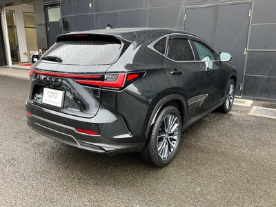 LEXUS NX - 4