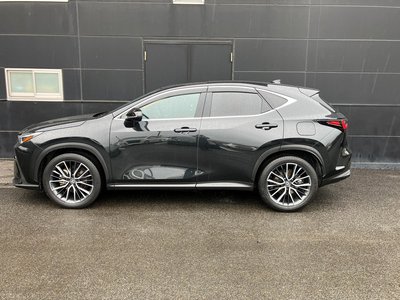 LEXUS NX - 6