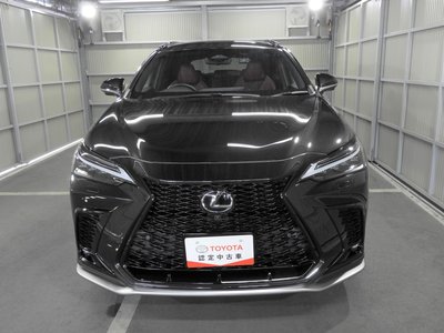 LEXUS NX - 6