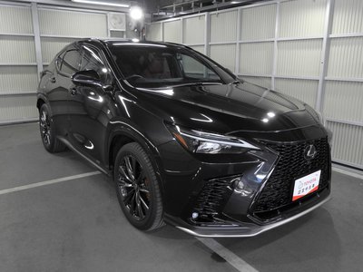 LEXUS NX - 7