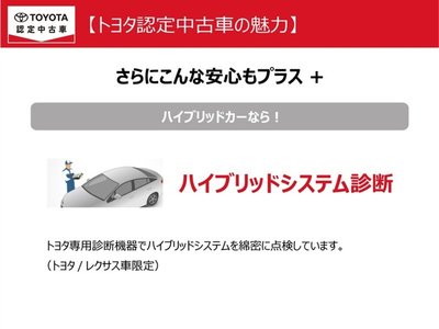 2024 Toyota ALPHARD 缩略图 34