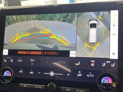 2024 Toyota ALPHARD 照片 5