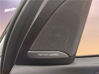 2026 BMW X7 thumbnail 16