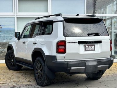 TOYOTA LAND CRUISER 250 - 6