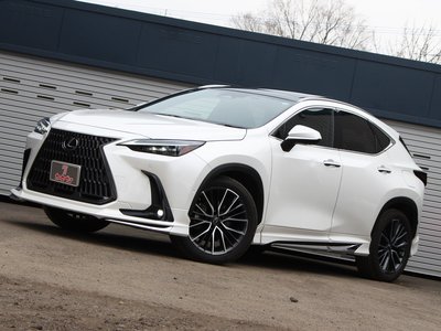 LEXUS NX - 3