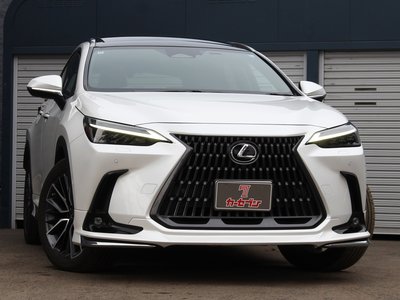 LEXUS NX - 4