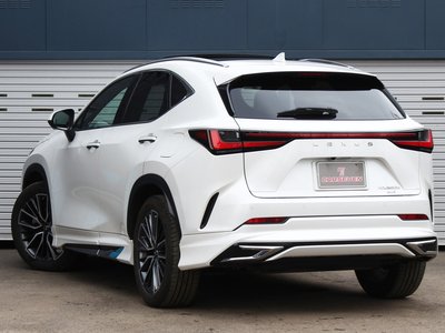 LEXUS NX - 6