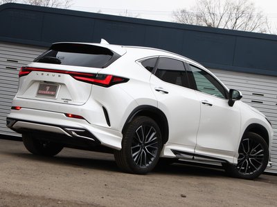 LEXUS NX - 5