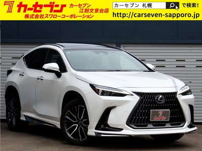 LEXUS NX - 1