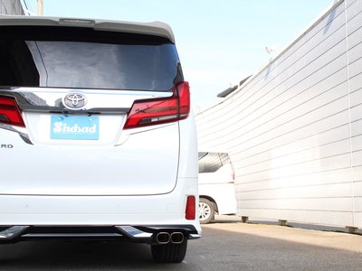 2022 Toyota ALPHARD — фото 6