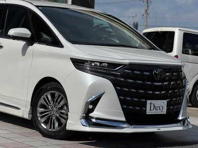 2025 Toyota ALPHARD — миниатюра 18