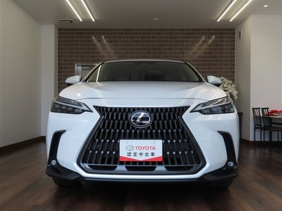 LEXUS NX - 4