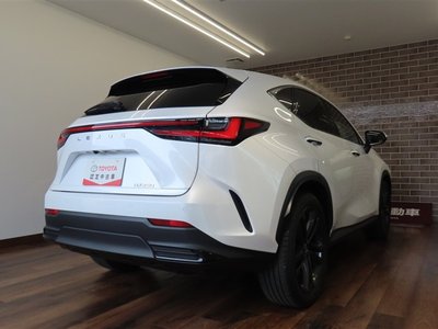 LEXUS NX - 6