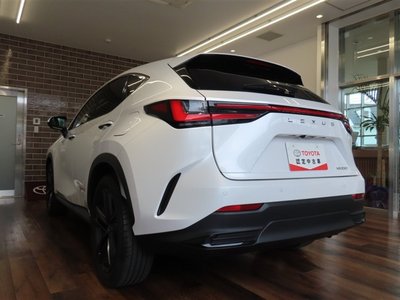 LEXUS NX - 8