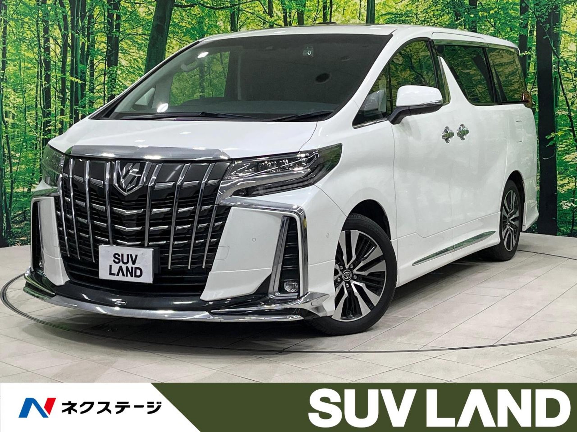 TOYOTA ALPHARD - View 1