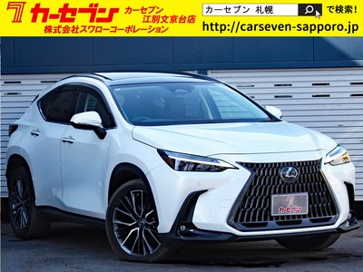 LEXUS NX - 1