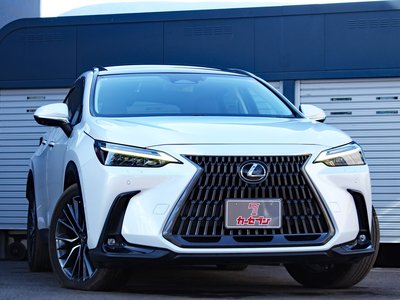LEXUS NX - 4