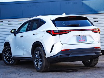 LEXUS NX - 6