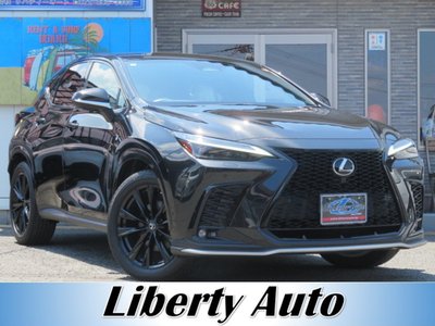 LEXUS NX - 1