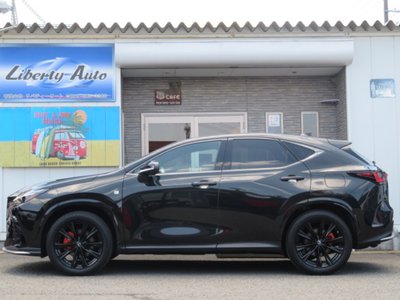 LEXUS NX - 6
