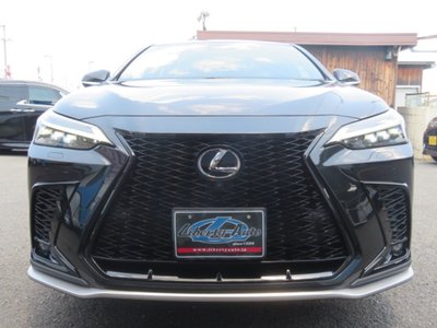 LEXUS NX - 10