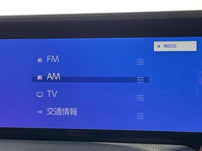 TOYOTA LAND CRUISER 250 - 3