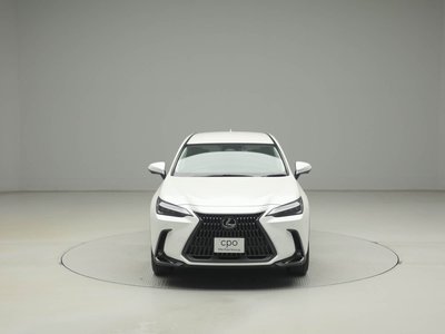 LEXUS NX - 10