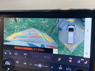 TOYOTA ALPHARD - 6