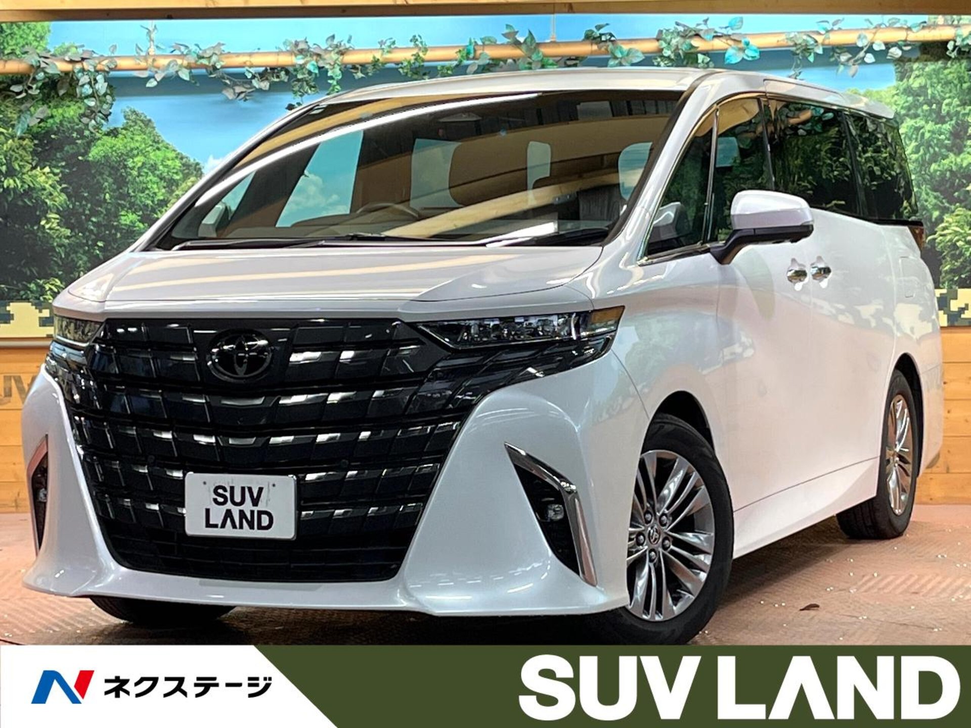 TOYOTA ALPHARD - View 1