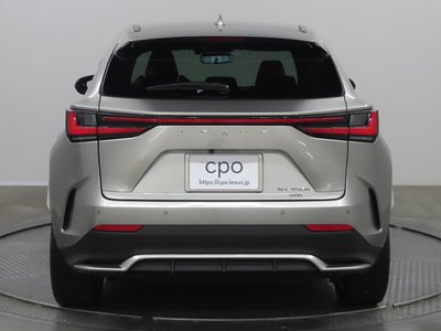 LEXUS NX - 4