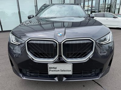 2025 BMW X3 thumbnail 63