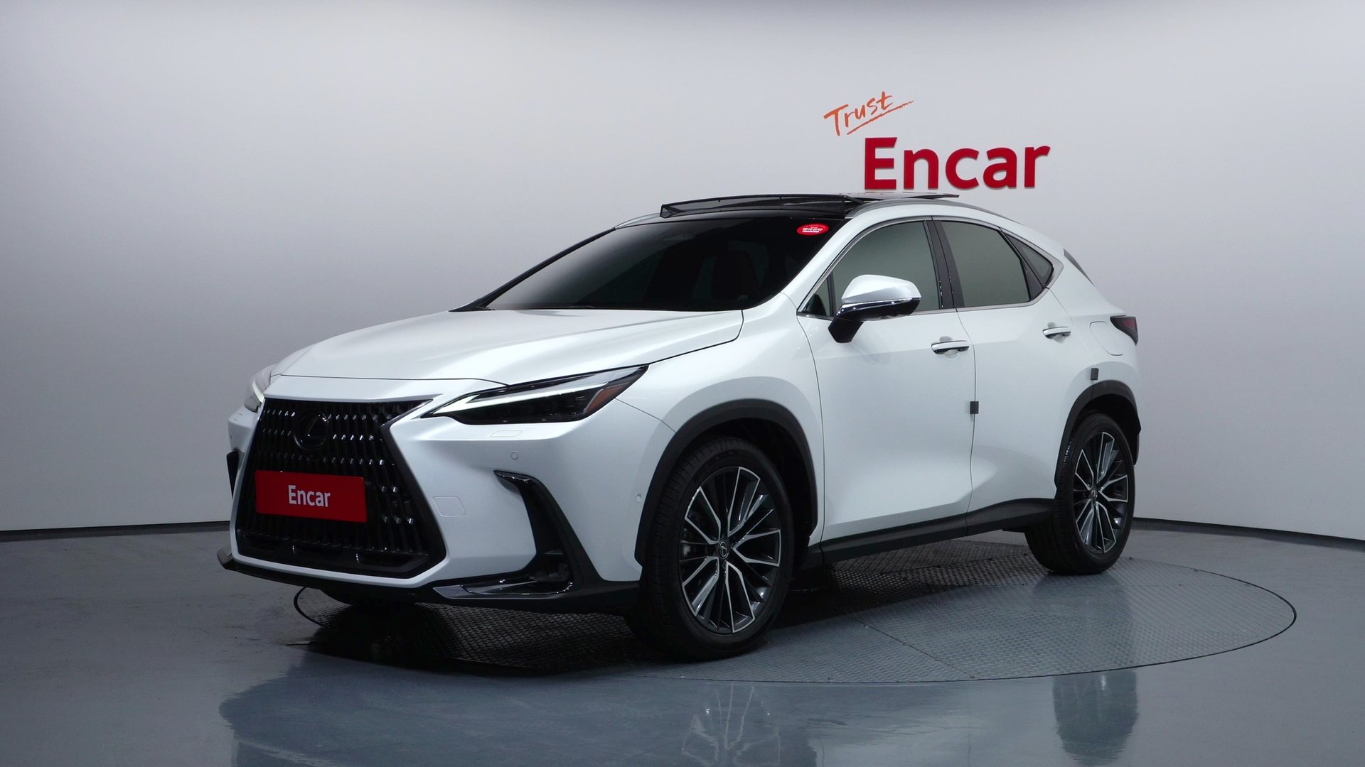 LEXUS NX - View 1