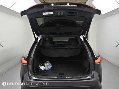 2023 Lexus RX thumbnail 19