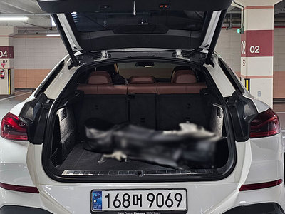 2025 BMW X6 — миниатюра 15