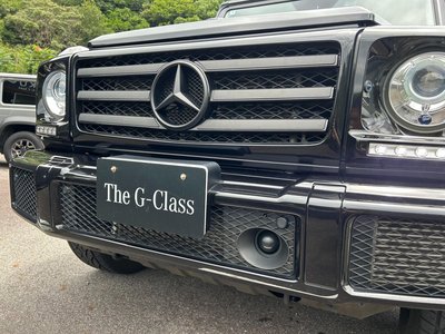 2018 Mercedes-BENZ G-CLASS 缩略图 26