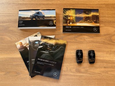 2025 Mercedes-BENZ G-CLASS AMG — миниатюра 20