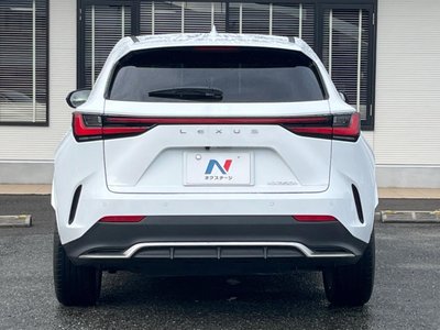 2021 Lexus NX — миниатюра 17