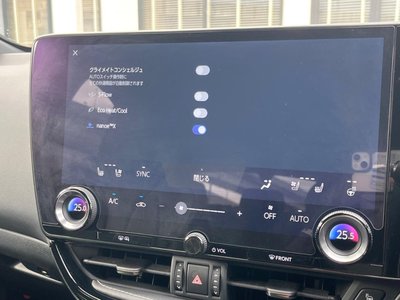 2021 Lexus NX photo 6