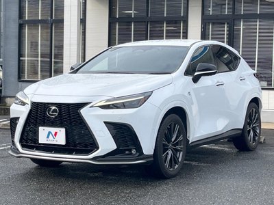 2021 Lexus NX — миниатюра 25