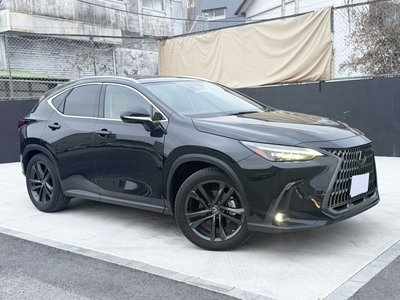 LEXUS NX - 1