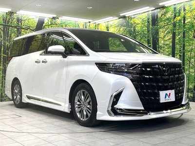 2024 Toyota ALPHARD 缩略图 18